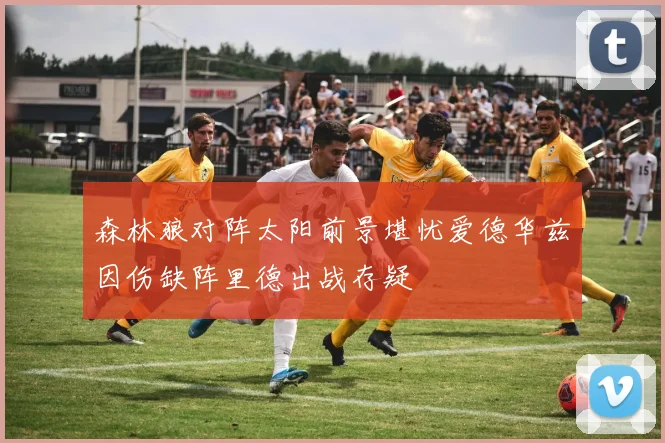 森林狼对阵太阳前景堪忧爱德华兹因伤缺阵里德出战存疑